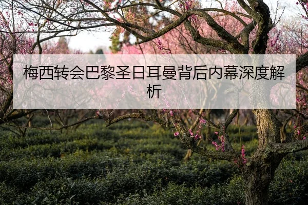 mei-xi-zhuan-hui-ba-li-sheng-ri-er-man-bei-hou-nei-mu-shen-du-jie-xi-1-799.jpg